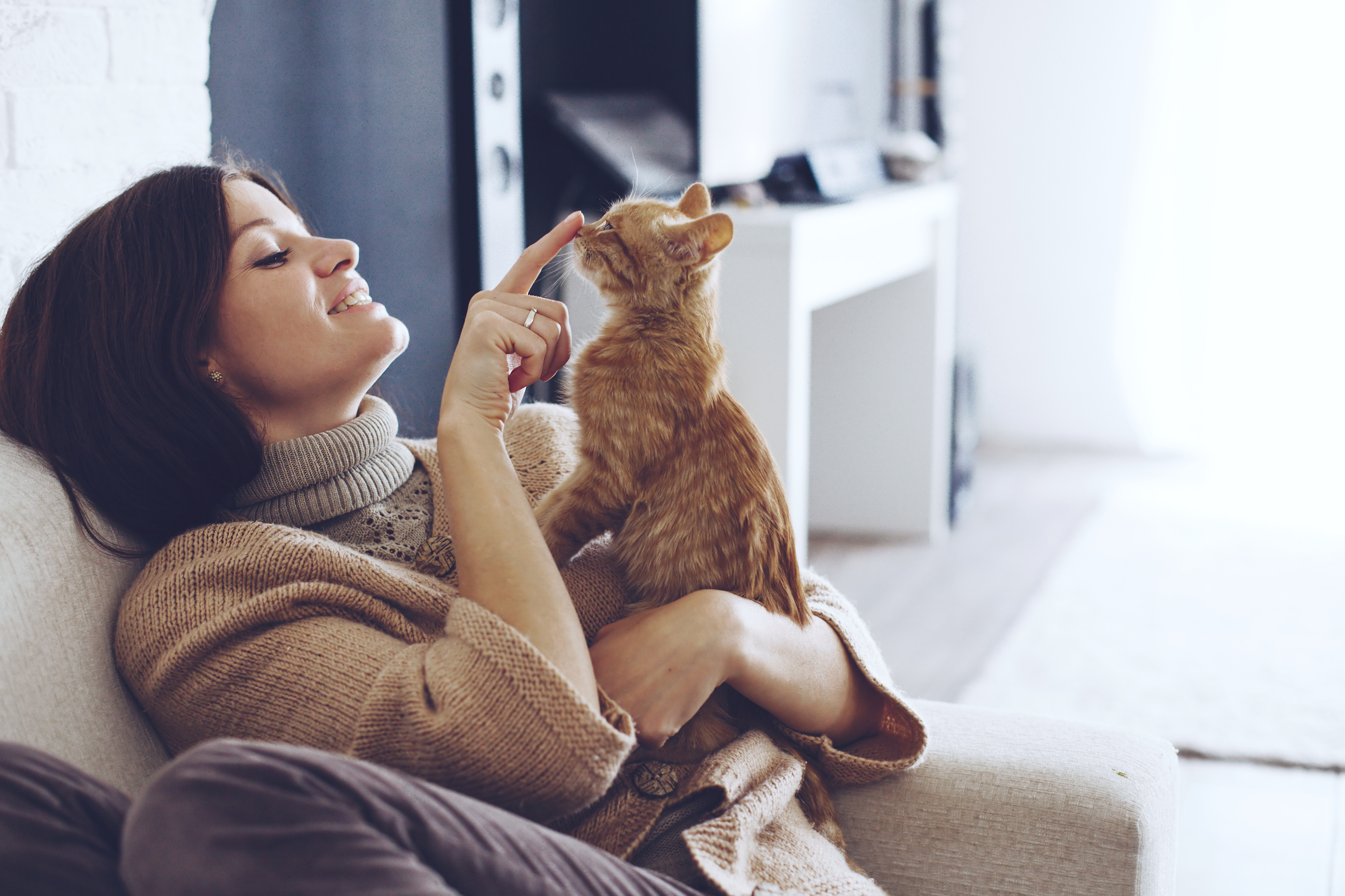 Frau spielt mit Kitten an Silvester